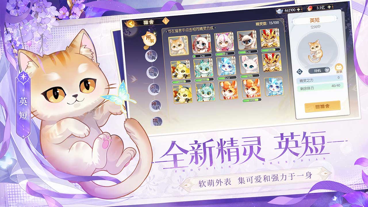 视频展示图