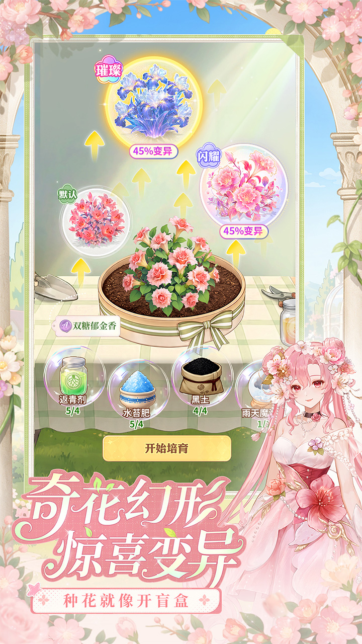 视频展示图